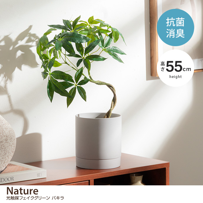 【高さ55cm】光触媒人工観葉植物　パキラ