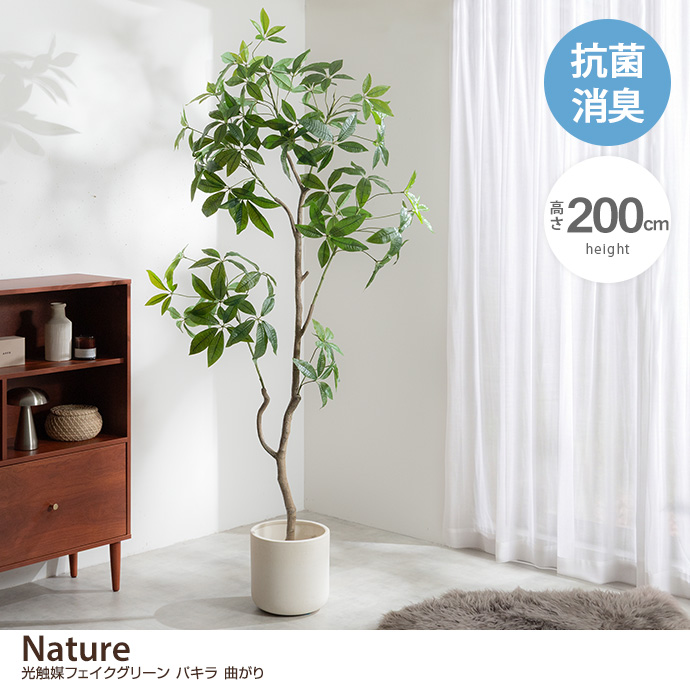 高さ200cm