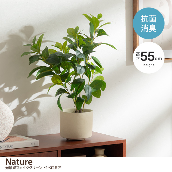 【高さ55cm】光触媒人工観葉植物　ペペロミア