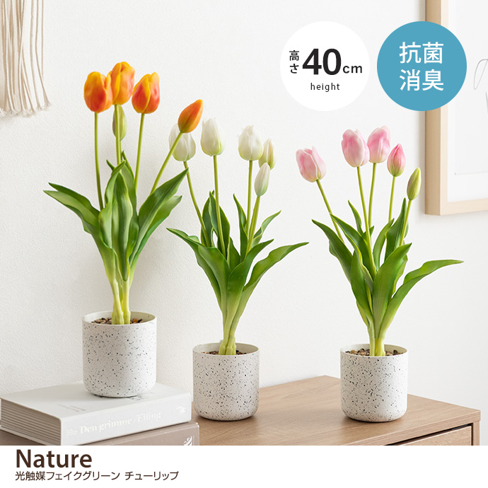 【高さ40cm】光触媒人工観葉植物　チューリップ