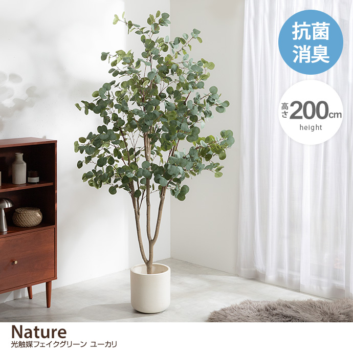 【高さ200cm】光触媒人工観葉植物 ユーカリ