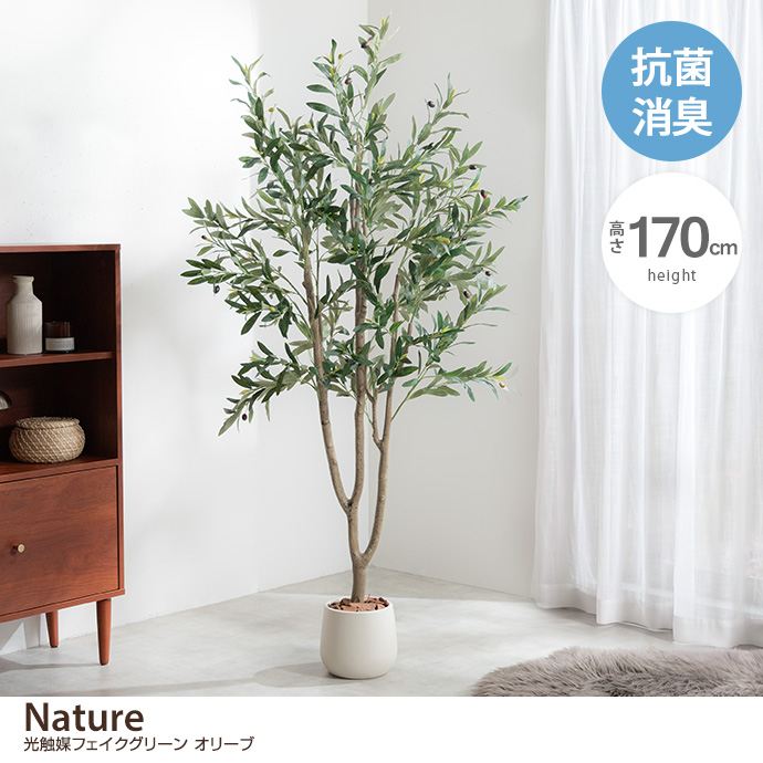 【高さ170cm】光触媒人工観葉植物 オリーブ