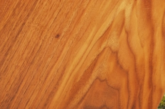 画像ギャラリー-4