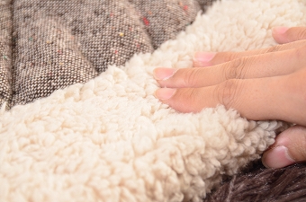 画像ギャラリー-2