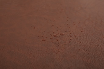 画像ギャラリー-4