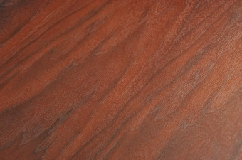 画像ギャラリー-2