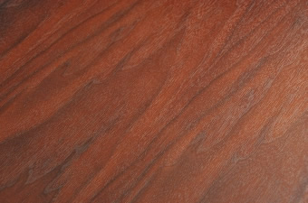 画像ギャラリー-2