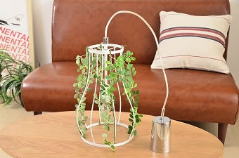 画像ギャラリー-2