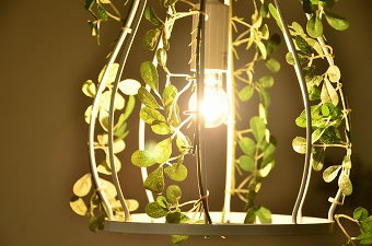 画像ギャラリー-3