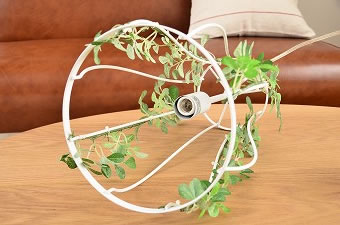 画像ギャラリー-5