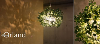 画像ギャラリー-4