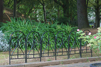 画像ギャラリー-2