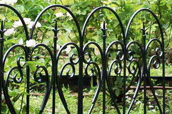 画像ギャラリー-3