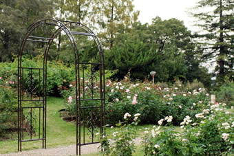 画像ギャラリー-2