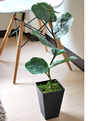 画像ギャラリー-2