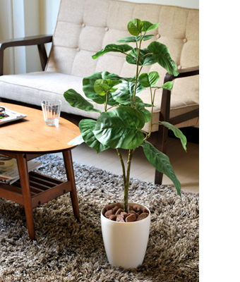 画像ギャラリー-2