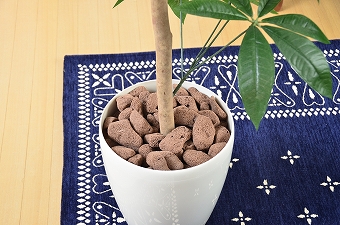 画像ギャラリー-5