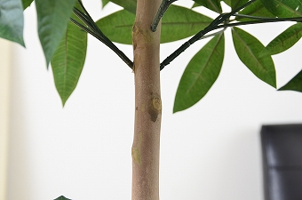 画像ギャラリー-6