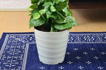 画像ギャラリー-3