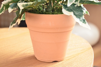 画像ギャラリー-2