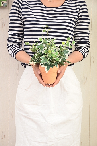 画像ギャラリー-3