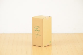 画像ギャラリー-3