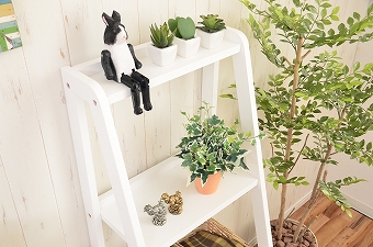 画像ギャラリー-2