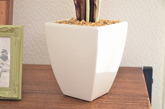 画像ギャラリー-2