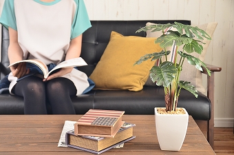 画像ギャラリー-3