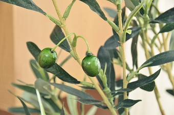 画像ギャラリー-2