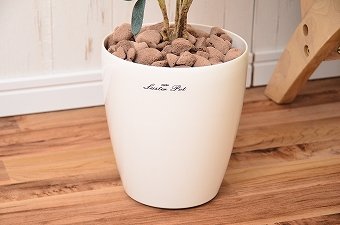 画像ギャラリー-2