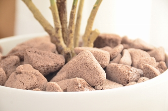 画像ギャラリー-2