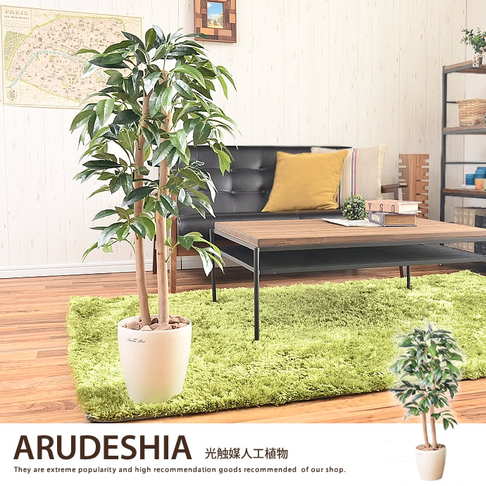 G アルデシア 観葉植物 家具 インテリア通販は家具350 公式