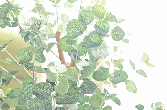 画像ギャラリー-2