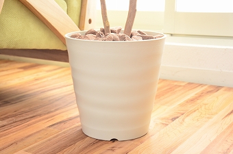 画像ギャラリー-2