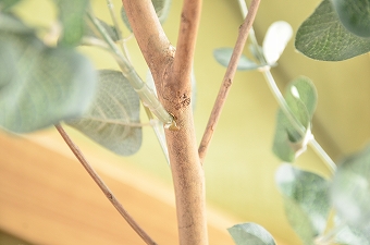 画像ギャラリー-2