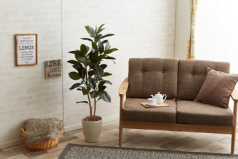 画像ギャラリー-2