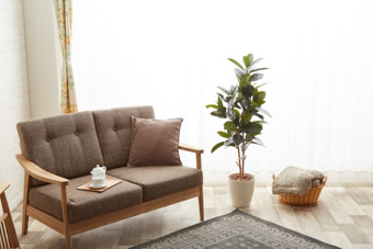 画像ギャラリー-4