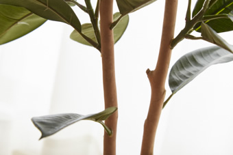 画像ギャラリー-5