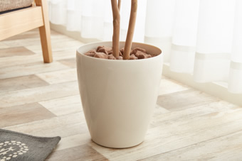 画像ギャラリー-5