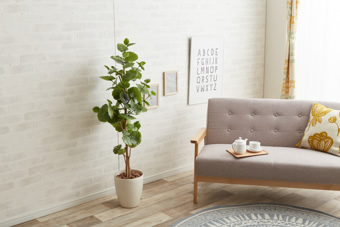 画像ギャラリー-2