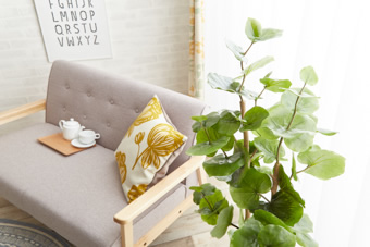 画像ギャラリー-3