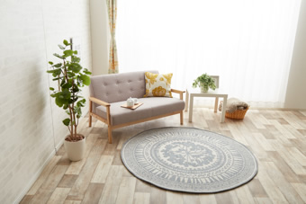 画像ギャラリー-4