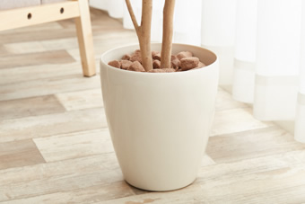 画像ギャラリー-5