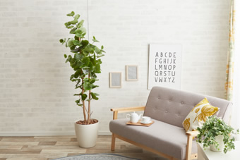 画像ギャラリー-2