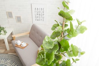 画像ギャラリー-3