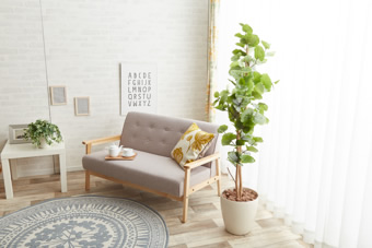 画像ギャラリー-4