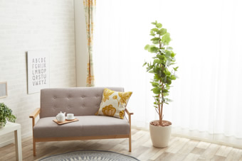 画像ギャラリー-5