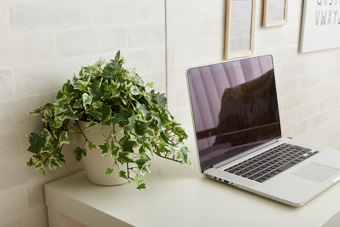 画像ギャラリー-2