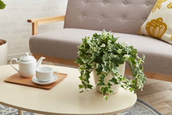 画像ギャラリー-4